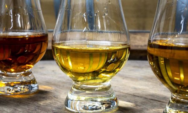 À la découverte de nos whiskies-photo