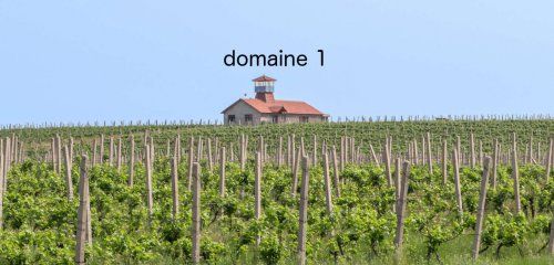 Domaine Dutest photo