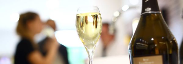 Dégustation découverte-photo