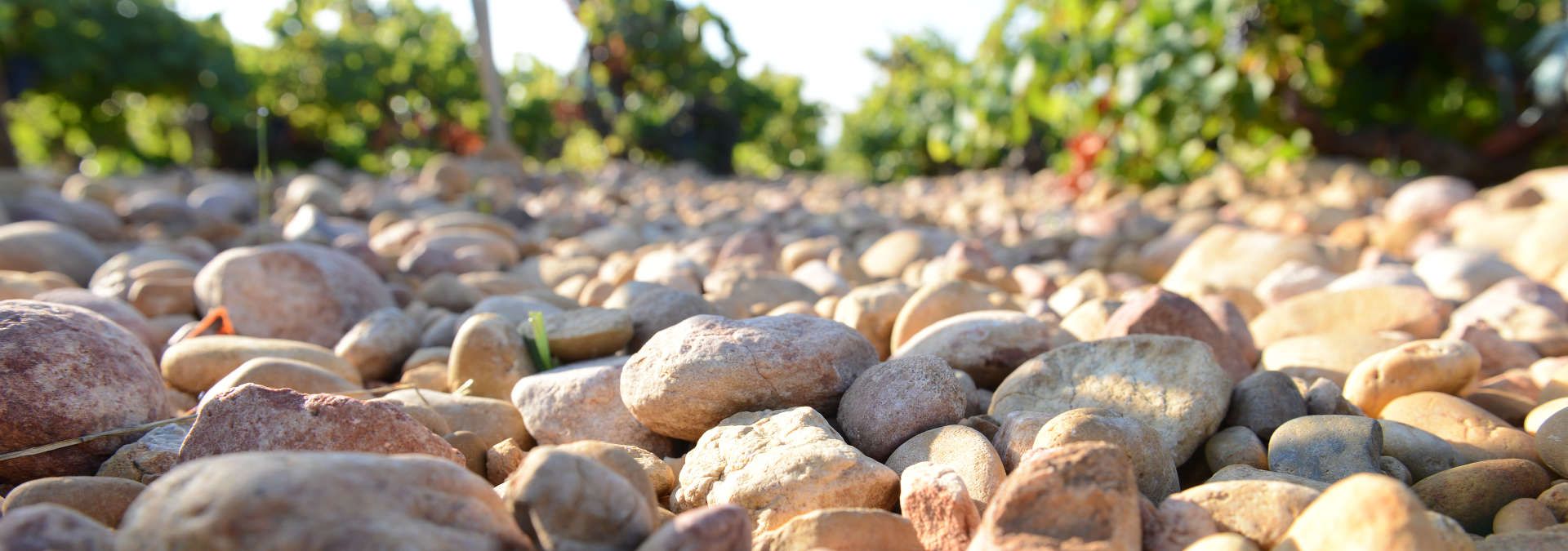 Domaine de la Janasse - Rue des Vignerons