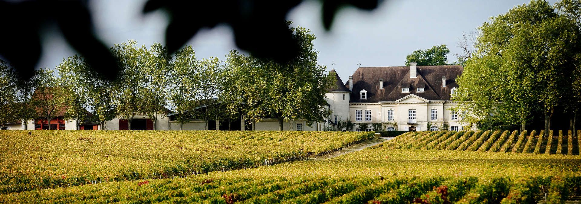 Château Bouscaut - Rue des Vignerons