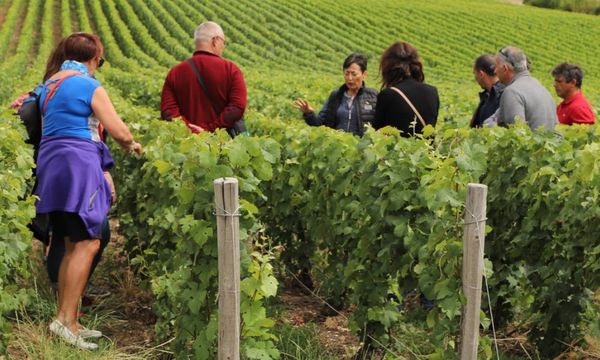 Vis ma vie de vigneron-photo