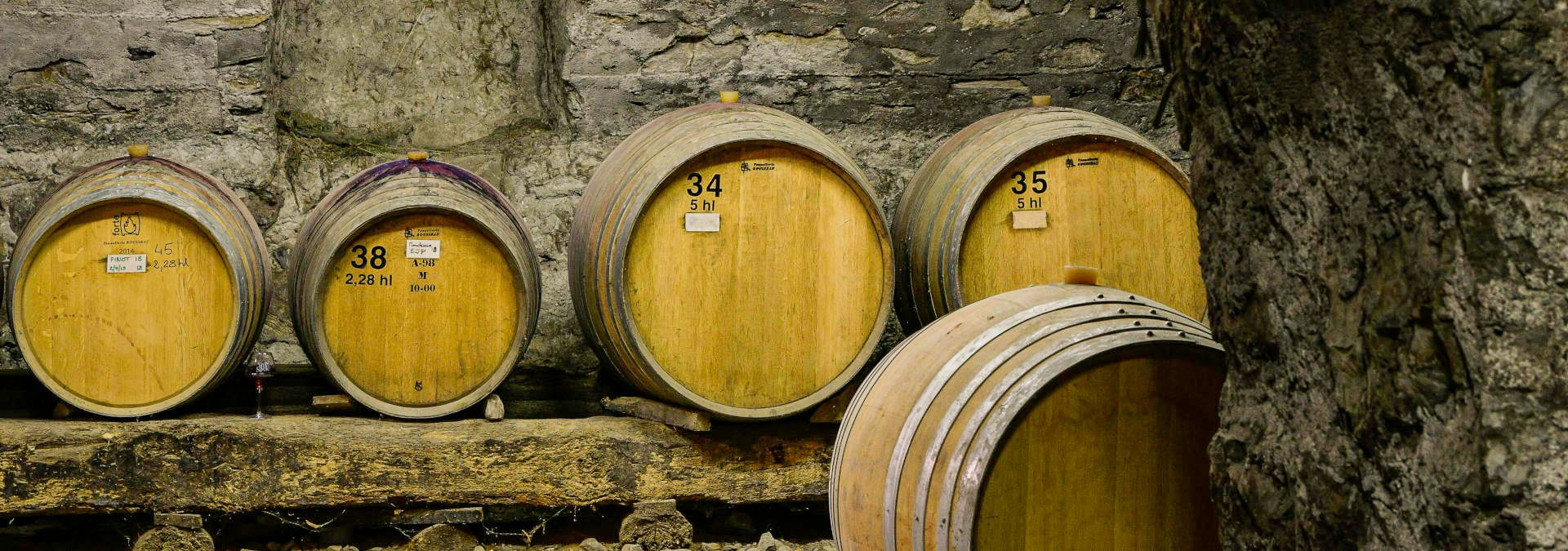 Domaine de Méjane - Rue des Vignerons