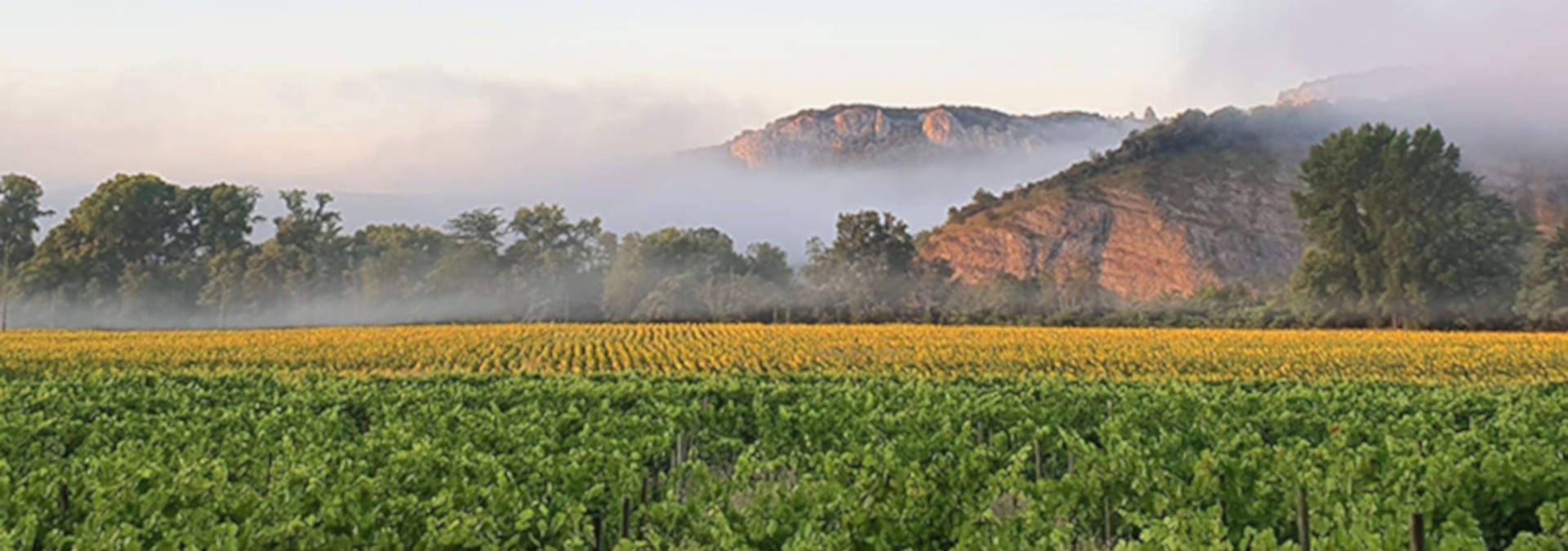 Domaine Walbaum - Rue des Vignerons