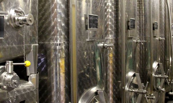 Le métier de vigneron en Alsace-photo