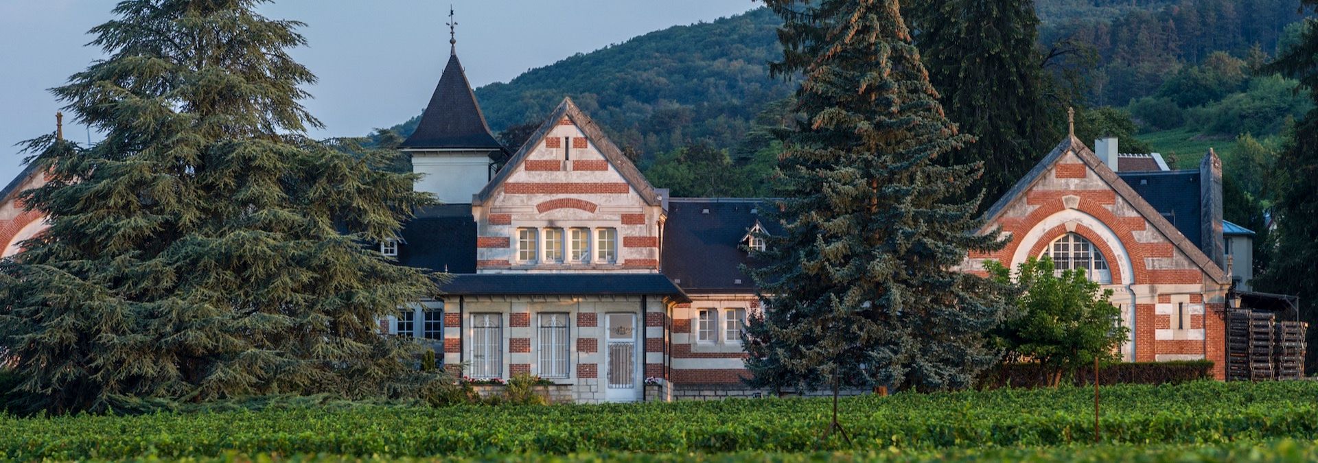 Domaine Henri de Villamont - Rue des Vignerons