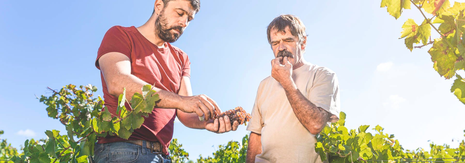Domaine Landron Chartier - Rue des Vignerons