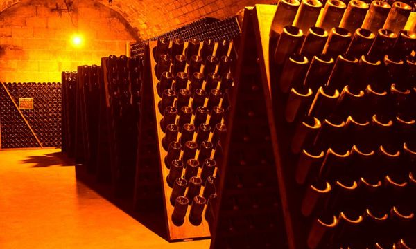 Visite Tradition - 1 Champagne-photo