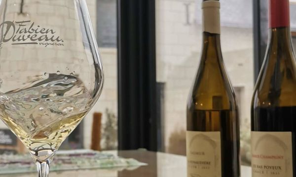 A la découverte de nos vins-photo