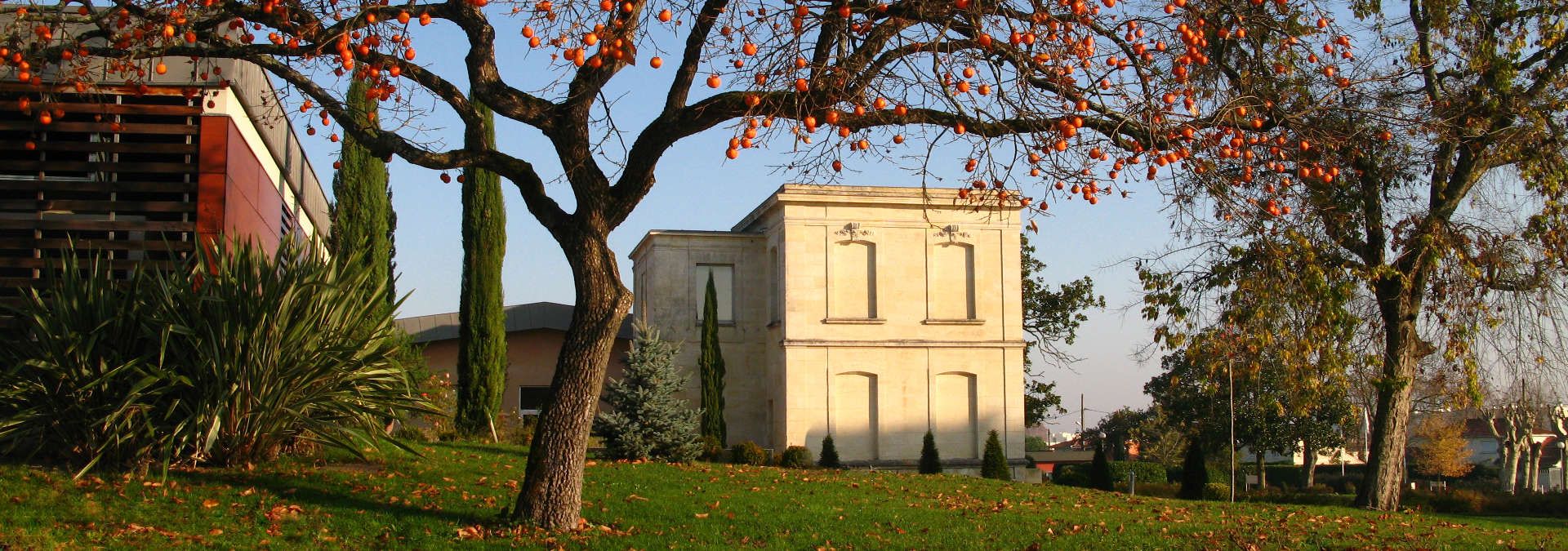 Château Luchey-Halde - Rue des Vignerons