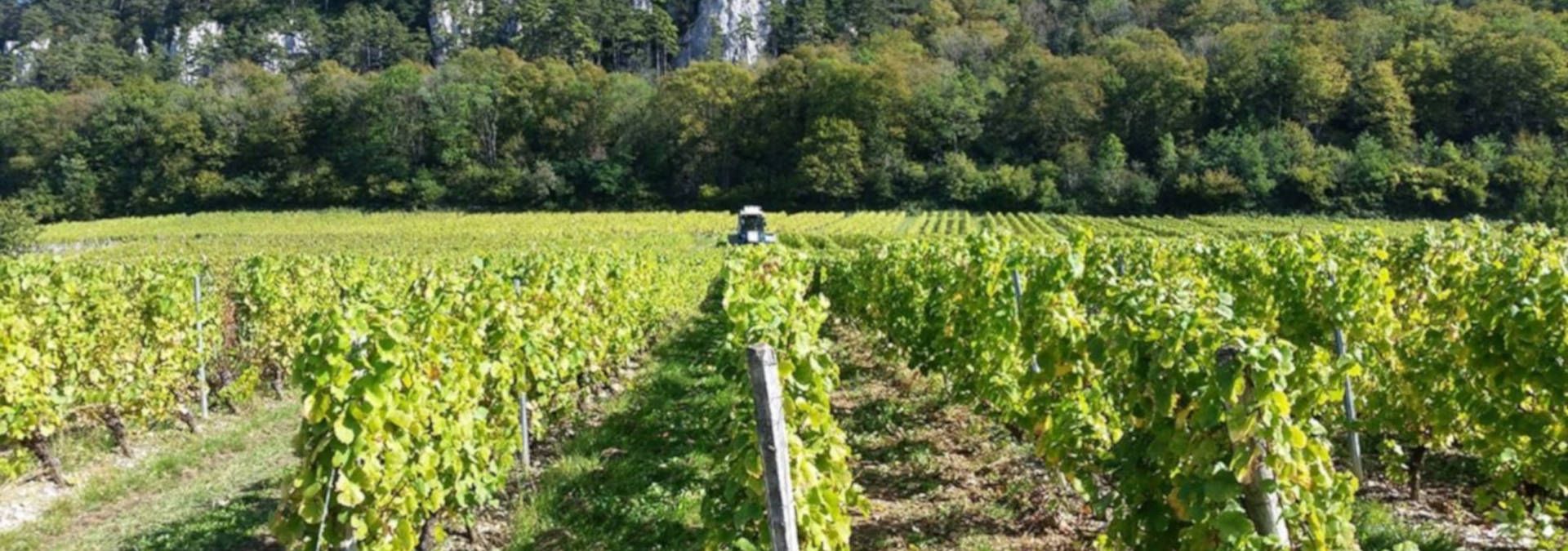 Domaine Les Monts Martin - Rue des Vignerons