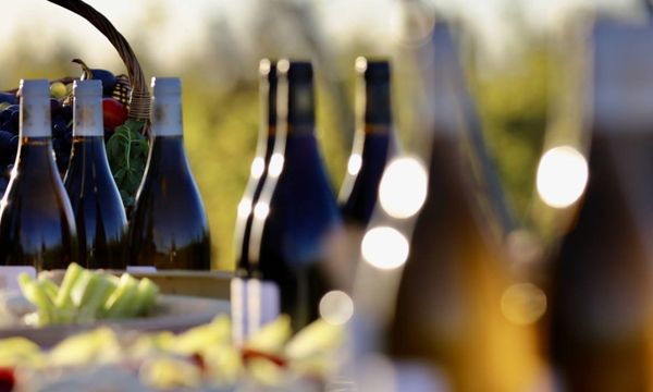 Visit with food and wine pairing-photo