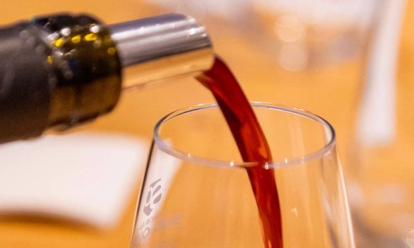 Dégustation vins et fromages, 4 vins du Sud Ouest-photo
