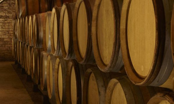 Visite 6 vins et farandole de gougères (Groupe)-photo