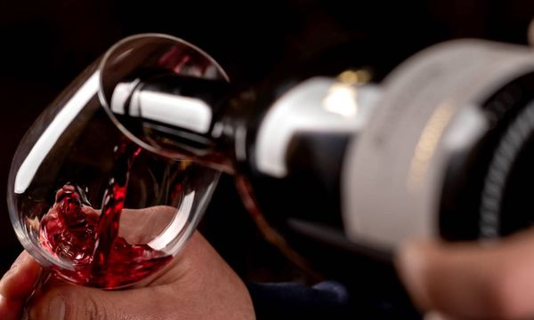 Découverte des vins de la Côte d'Or-photo