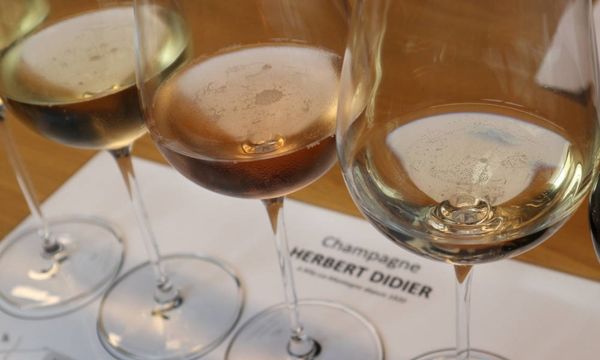 Degustazione di 5 champagne-photo