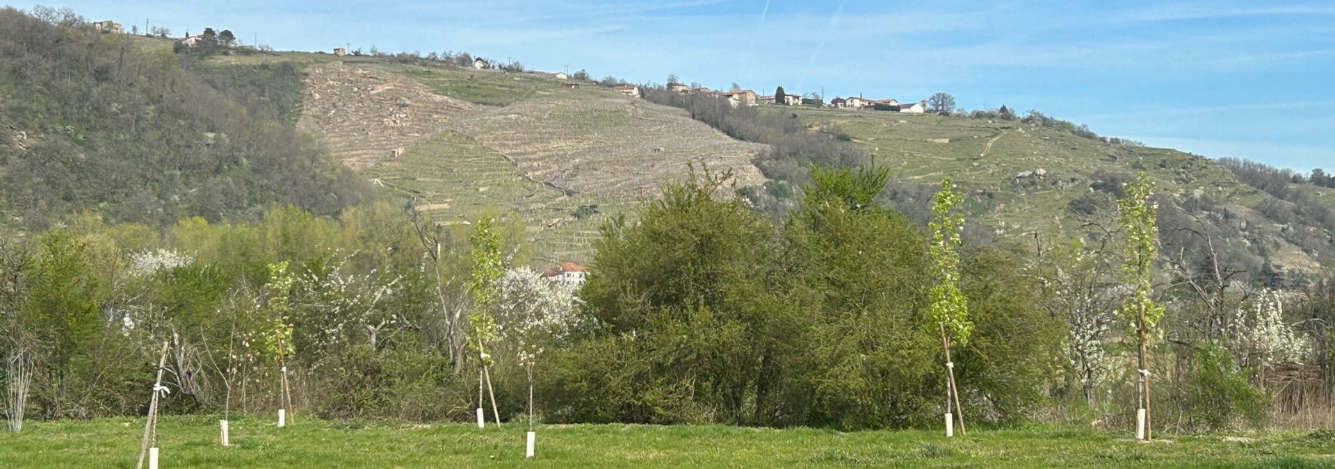 Maison Christophe Pichon - Rue des Vignerons