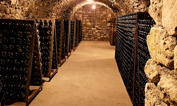 Visite du domaine et dégustation-photo