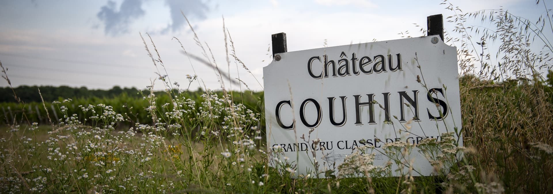 Château Couhins - Rue des vignerons