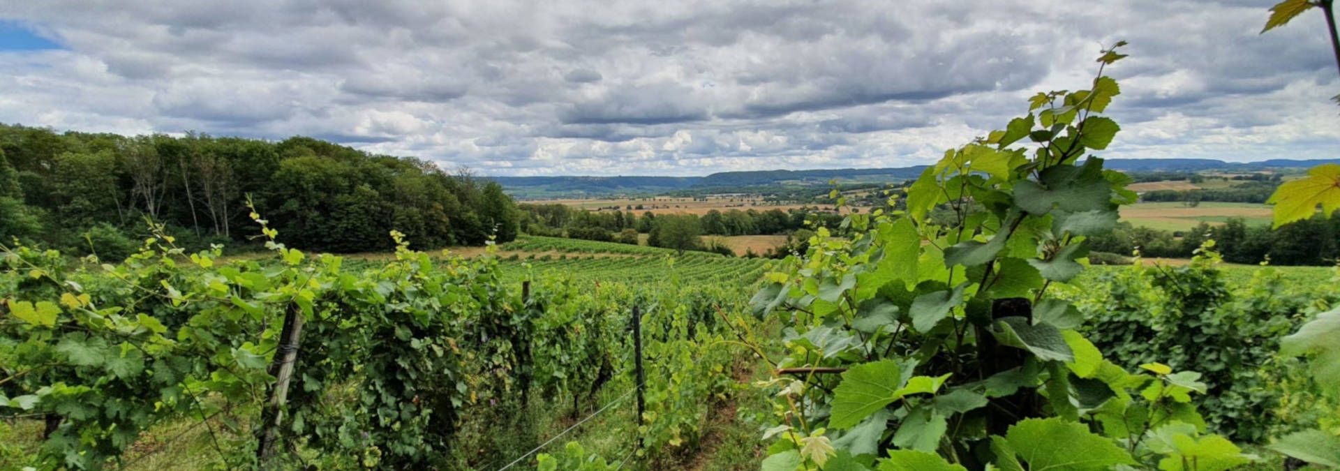 Domaine de Sainte Marie - Rue des Vignerons