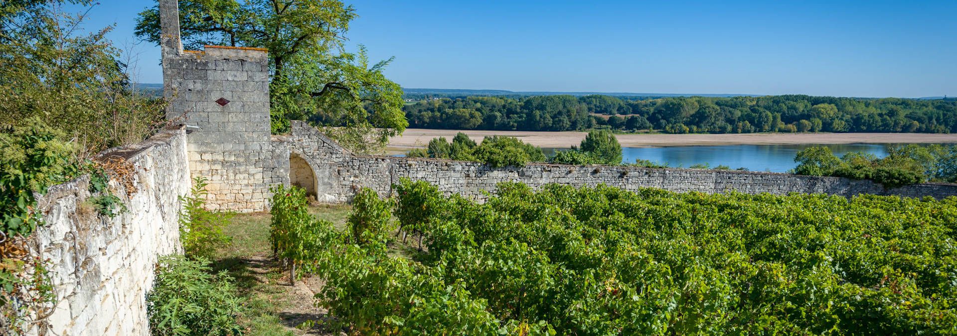 Domaine de la Perruche - Rue des Vignerons