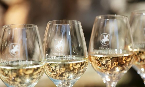 Dégustation de 5 vins sur nos 3 couleurs-photo