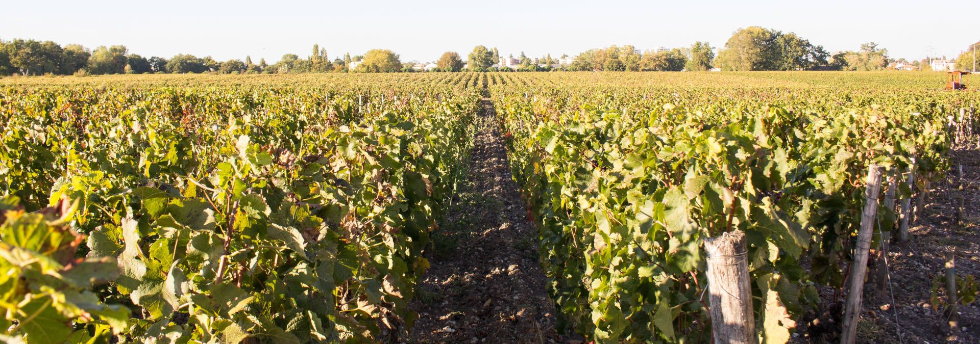 Château Luchey-Halde - Rue des Vignerons