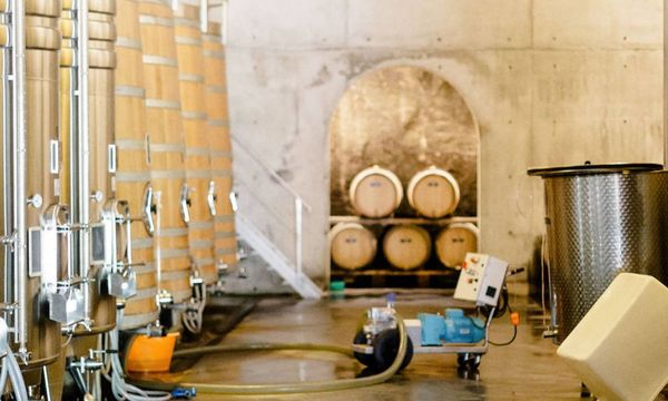 Visite des caves et dégustation-photo