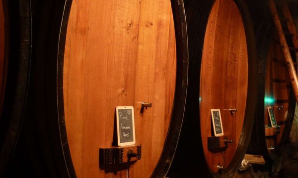Les Grands Terroirs de la Vallée Noble-photo