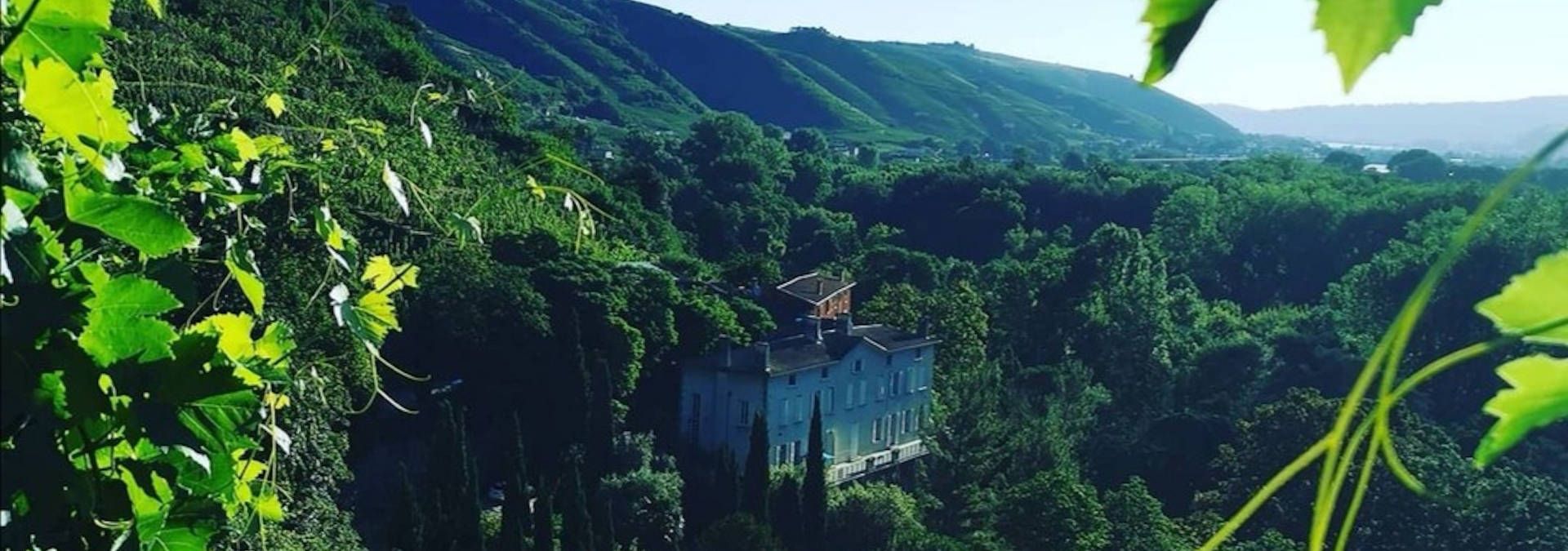 Domaine de Corps de Loup - Rue des Vignerons