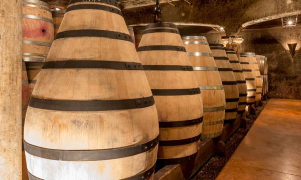 Dégustation et visite de cave-photo