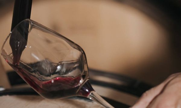 Vins du domaine-photo