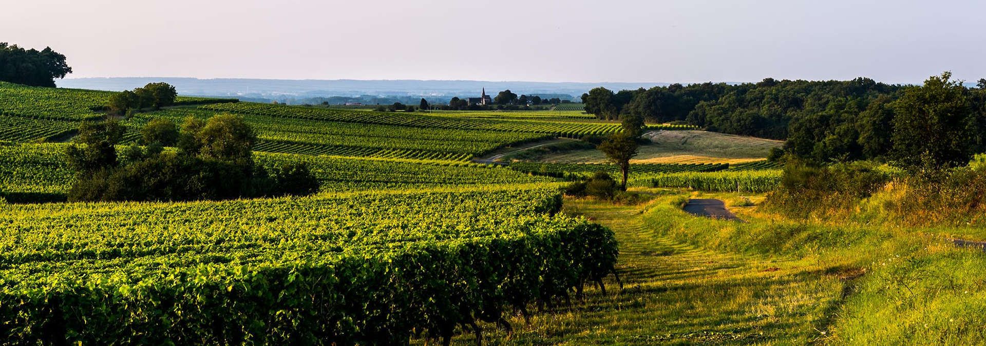 Domaine de Rocheville - Rue des Vignerons