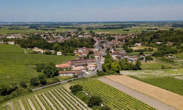 Visite du Domaine et dégustation dans nos vignes-photo