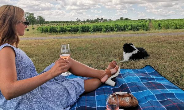 Pique-nique dans les vignes du Domaine Gayrard-photo