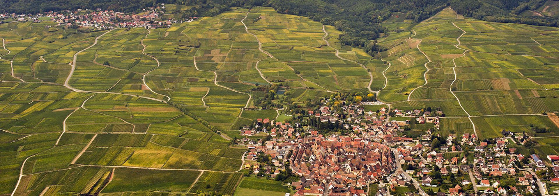 Domaine Emile Beyer Rue des Vignerons
