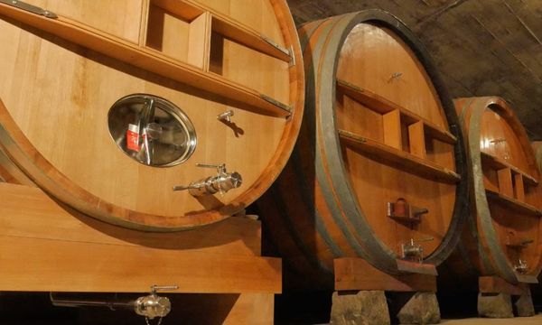 De la vigne aux vins-photo