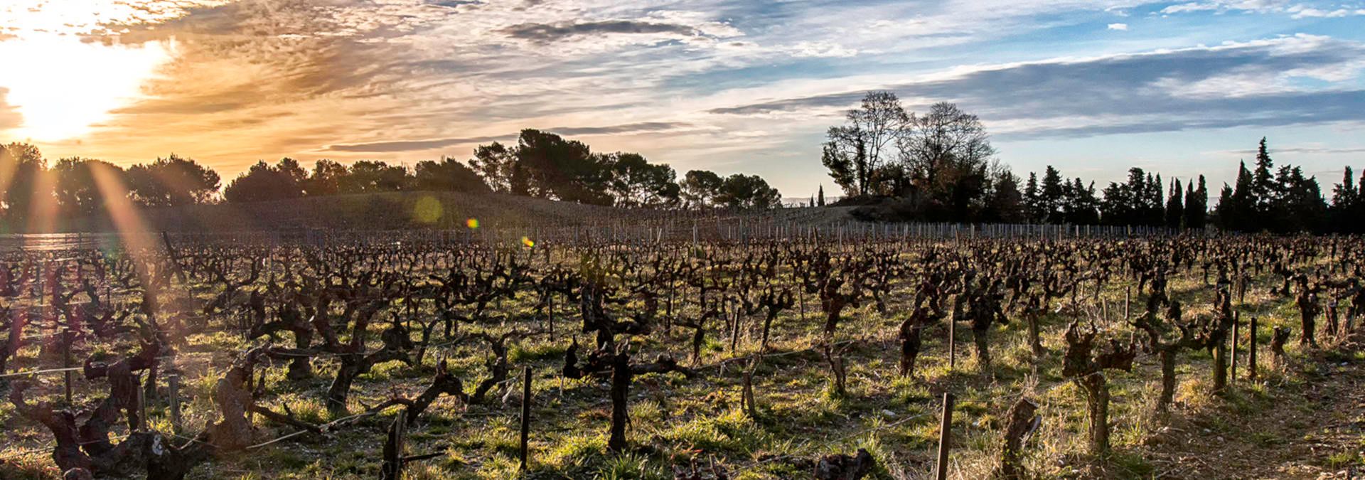 Domaine La Ligière - Rue des Vignerons