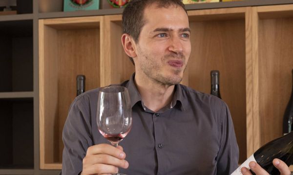 Visite Domaine Bourgogne - Dégustation vins-photo