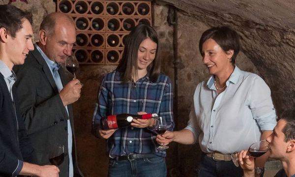 A la découverte des vins du domaine-photo