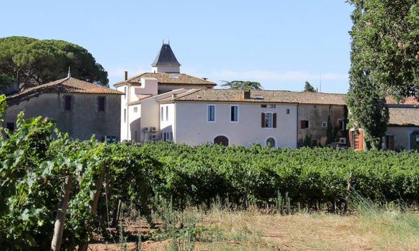 Pique-nique dans le vignoble-photo