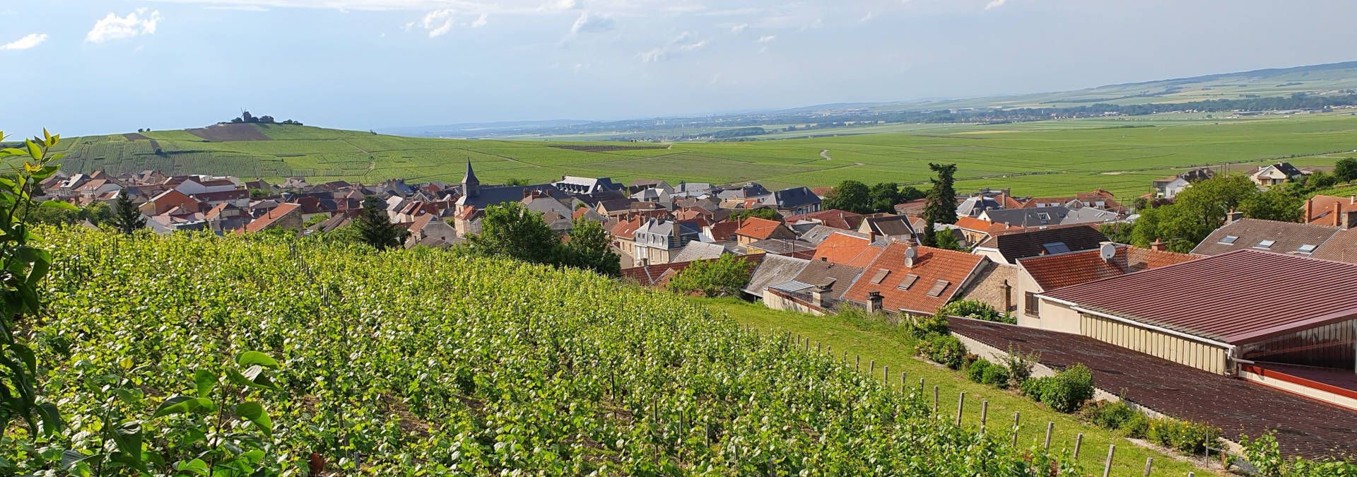 Champagne Godmé Sabine - Rue des Vignerons
