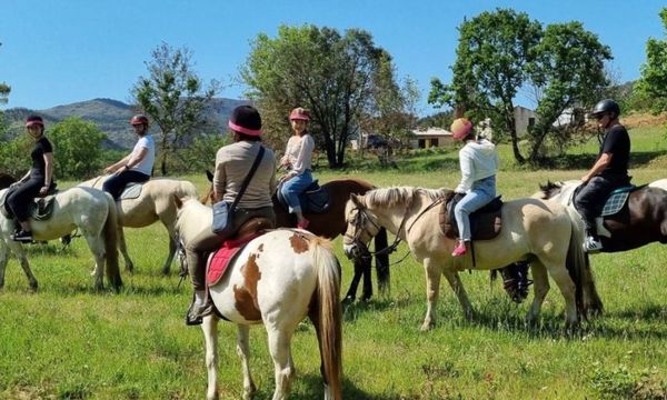 Excursion à Cheval entre vignes et forêt, depuis G-photo