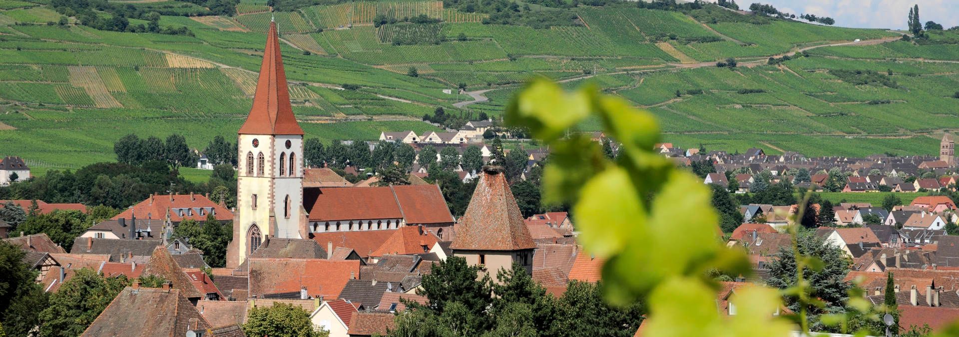 Domaine Jean Baptiste Adam - Rue des Vignerons