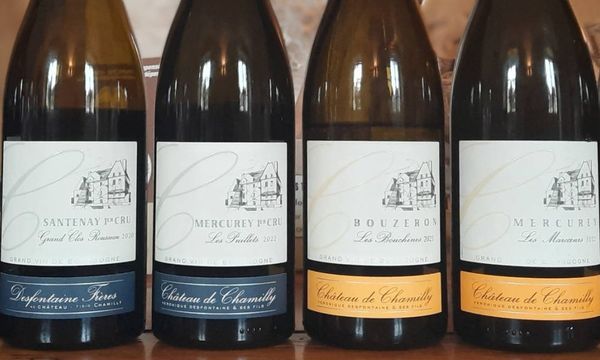 Découverte de 6 vins-photo