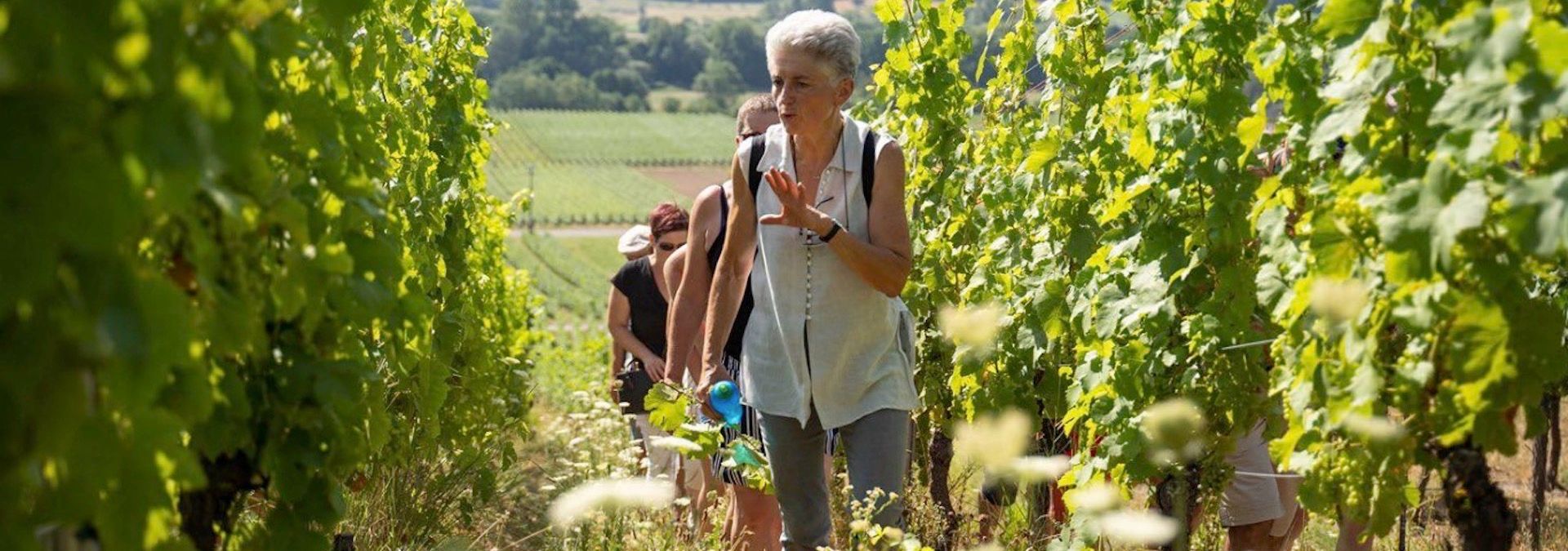 Vins Schoenheitz - Rue des Vignerons