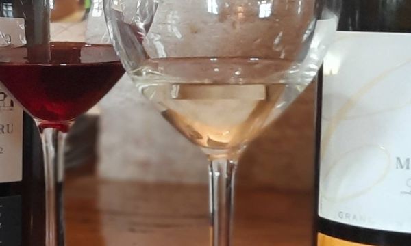 Dégustation de 2 vins-photo