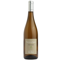 Domaine de Bois Mozé Terre de Haut 2021 Blanc
