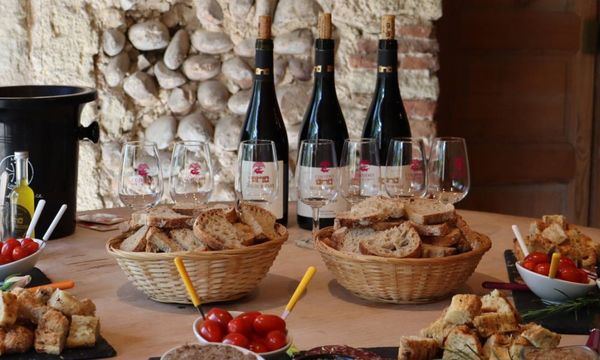 Dégustation vins et produits locaux-photo