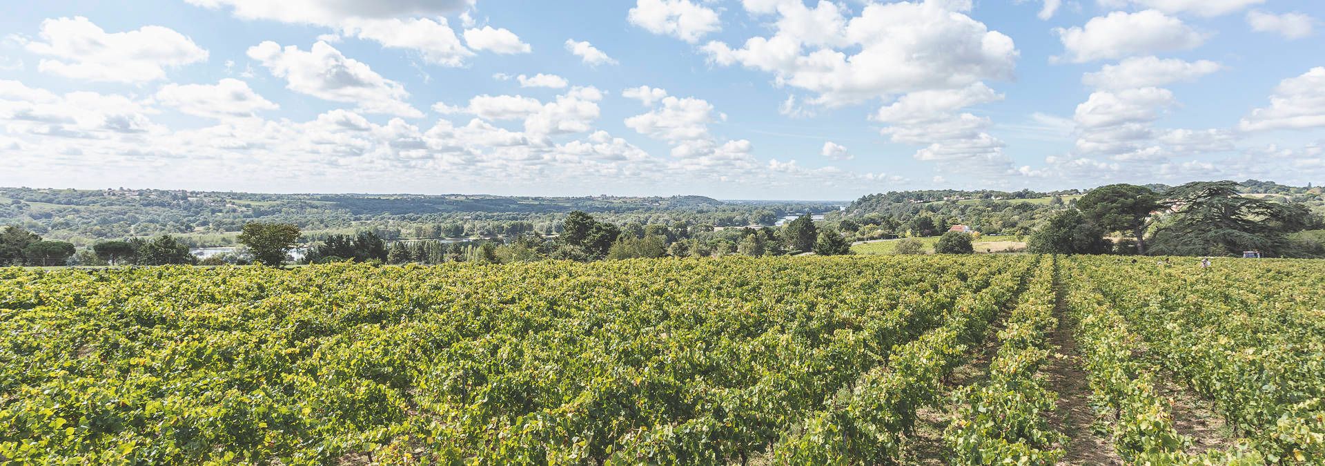 Domaine Landron Chartier - Rue des Vignerons